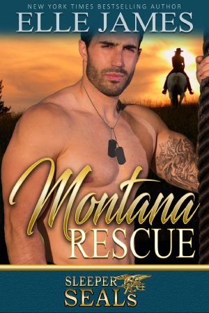 [Brotherhood Protectors 08] • Montana Rescue (Sleeper SEALs) (Volume 6)
